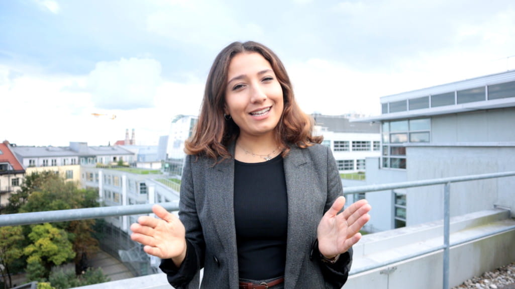 Hoe werkt het product?